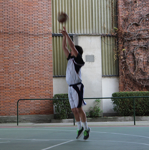 basket1